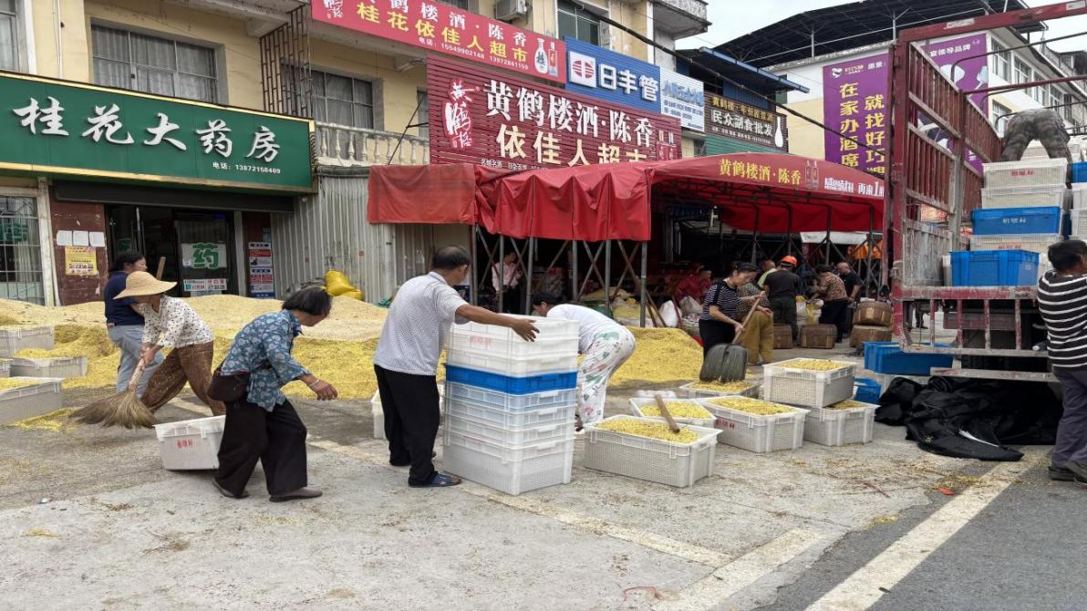 金秋咸寧桂花香  “鏈”起產(chǎn)業(yè)新篇章1.png